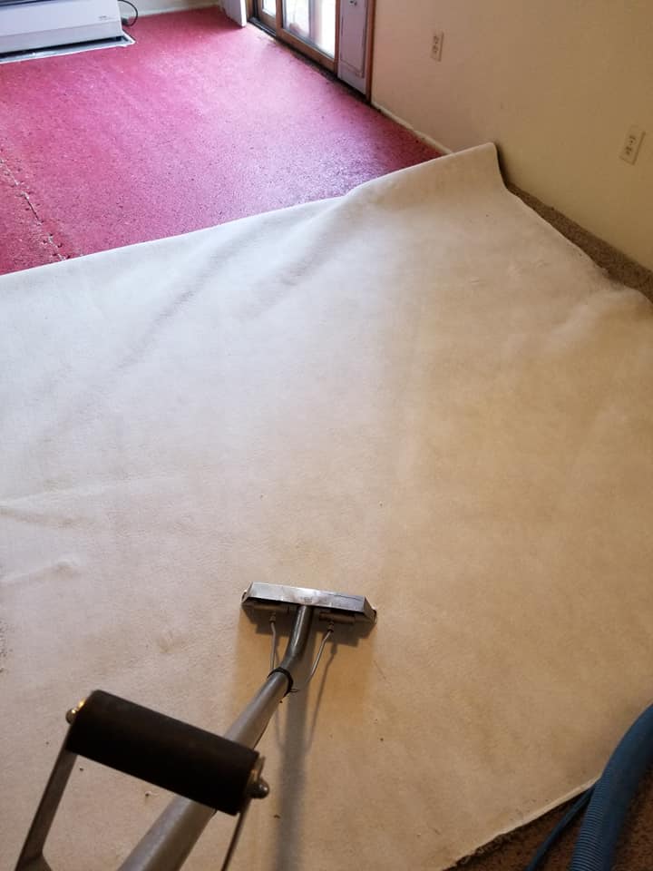 Vaccuum cleaning the carpet